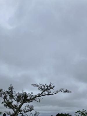 空
