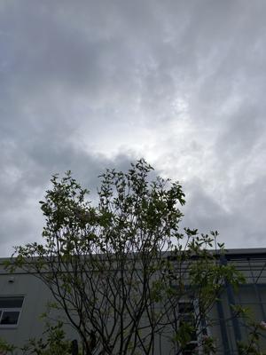 空