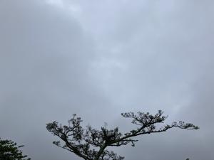 空