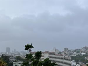雨