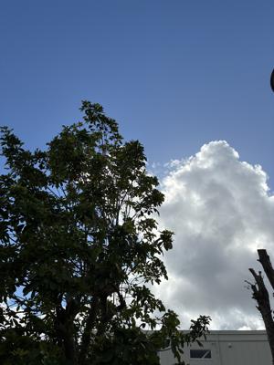 空