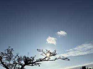 空
