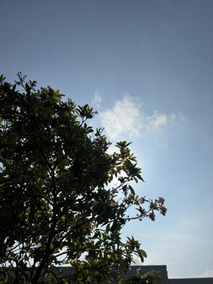 空