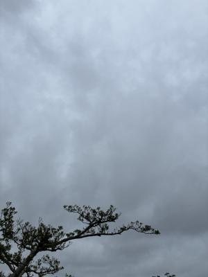空