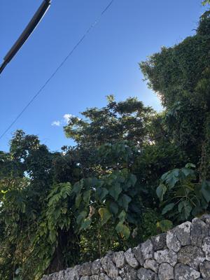空