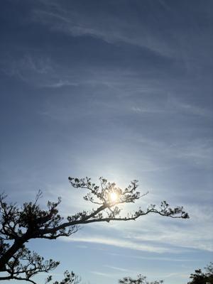 空