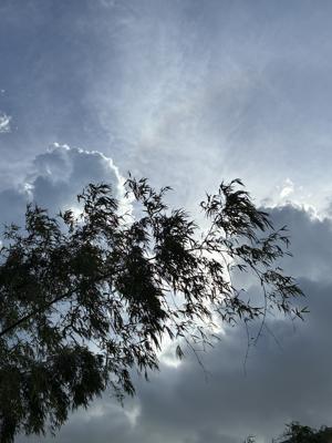 空