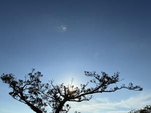 空