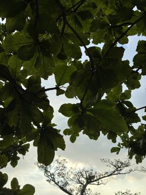 空