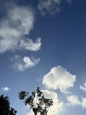 空