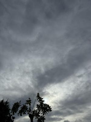 空