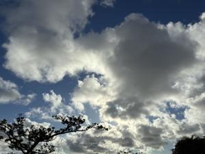 空