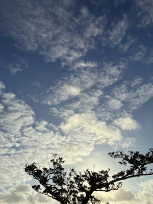 空