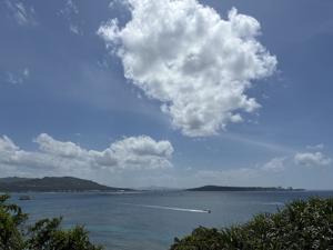 瀬底島