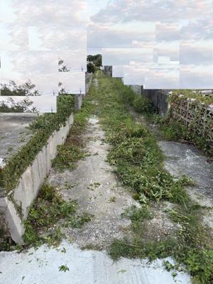 剪定作業後