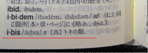 辞書