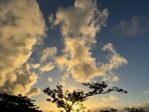 空