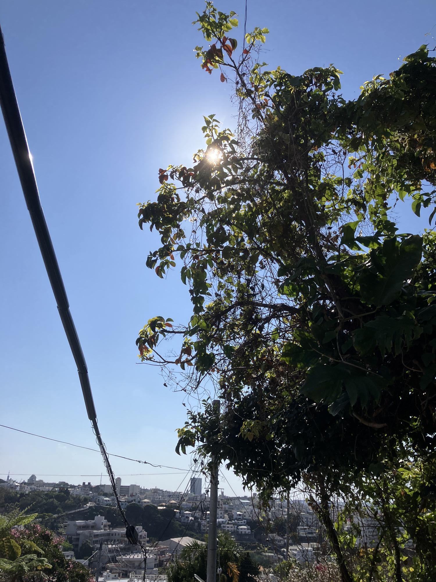 イェスタディの１４時５６分