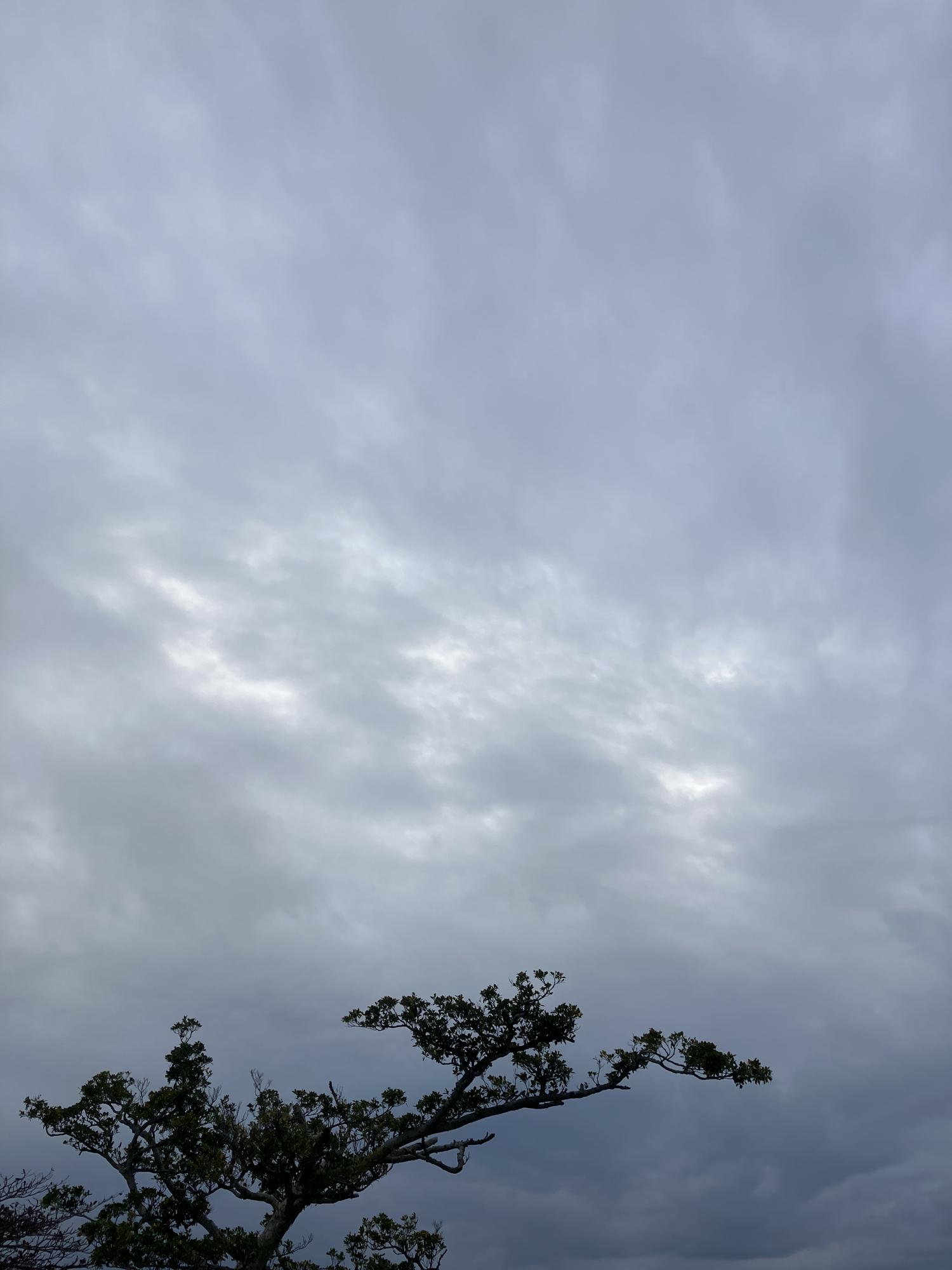 イェスタディの１７時３７分