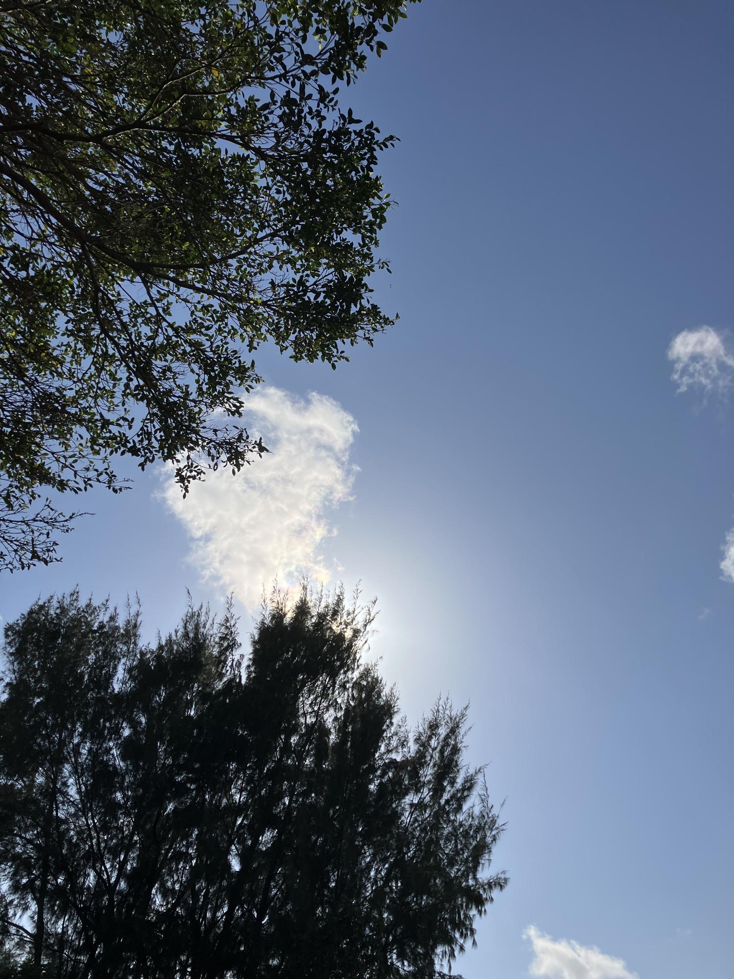 イェスタディの１５時５９分