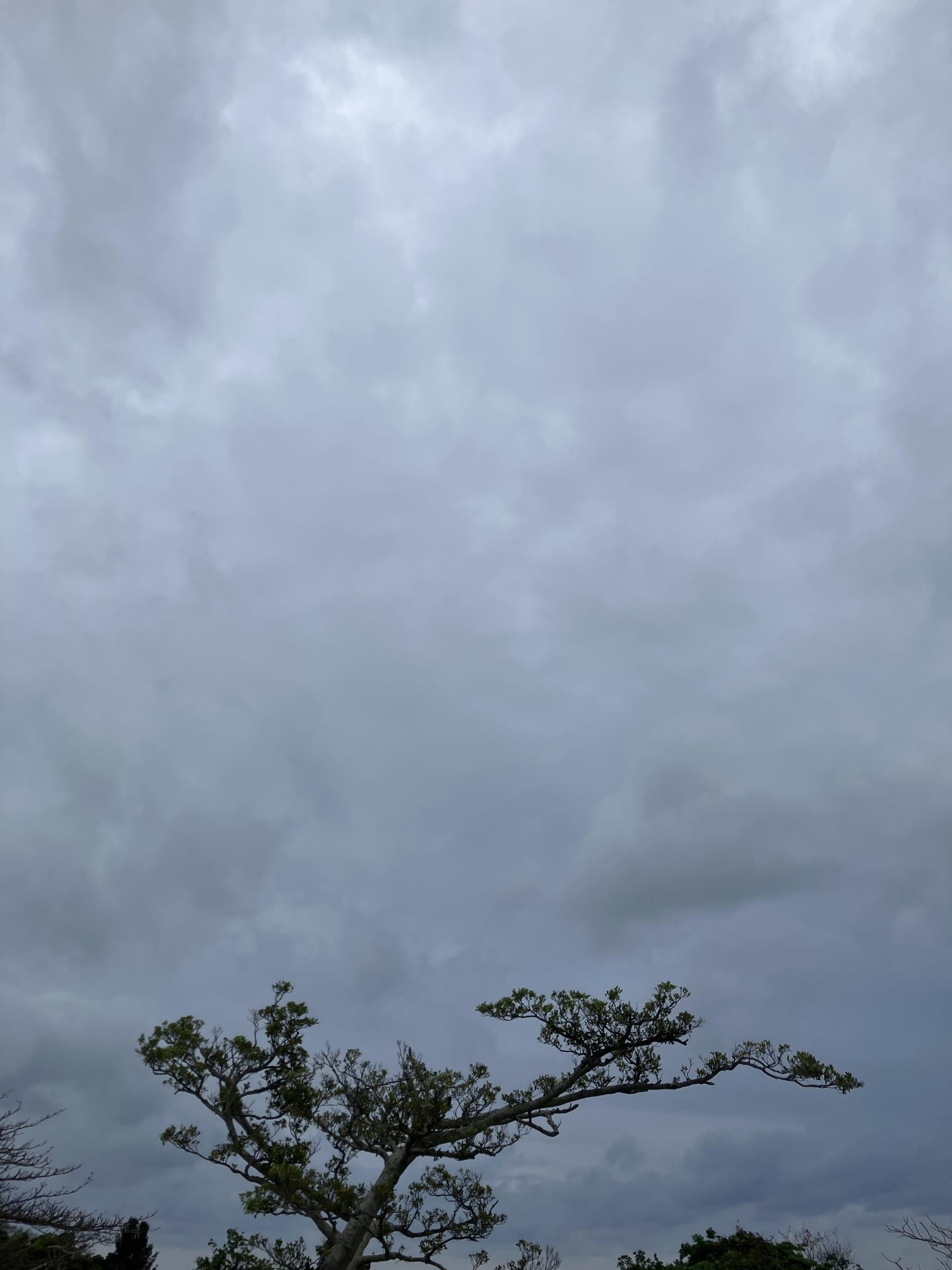 イェスタディの１７時２４分