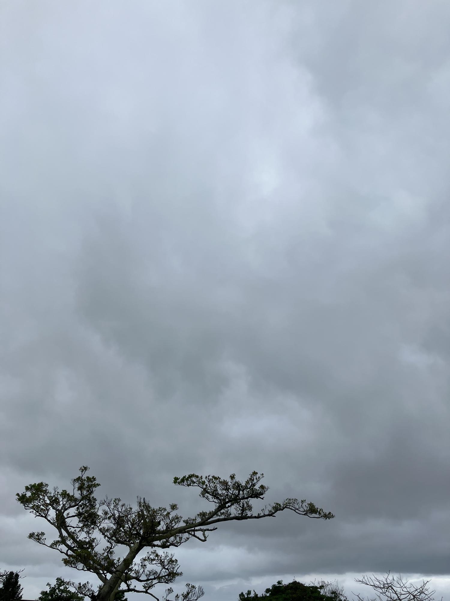 イェスタディの１７時２４分