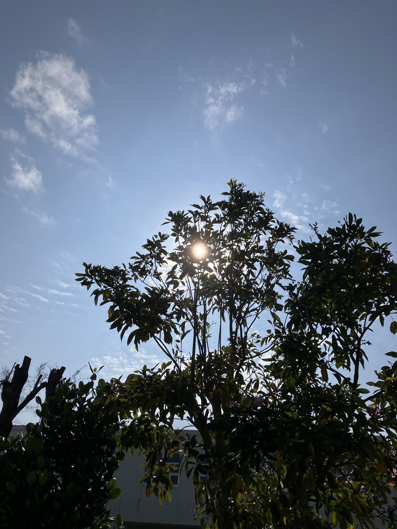 イェスタディの１６時０５分