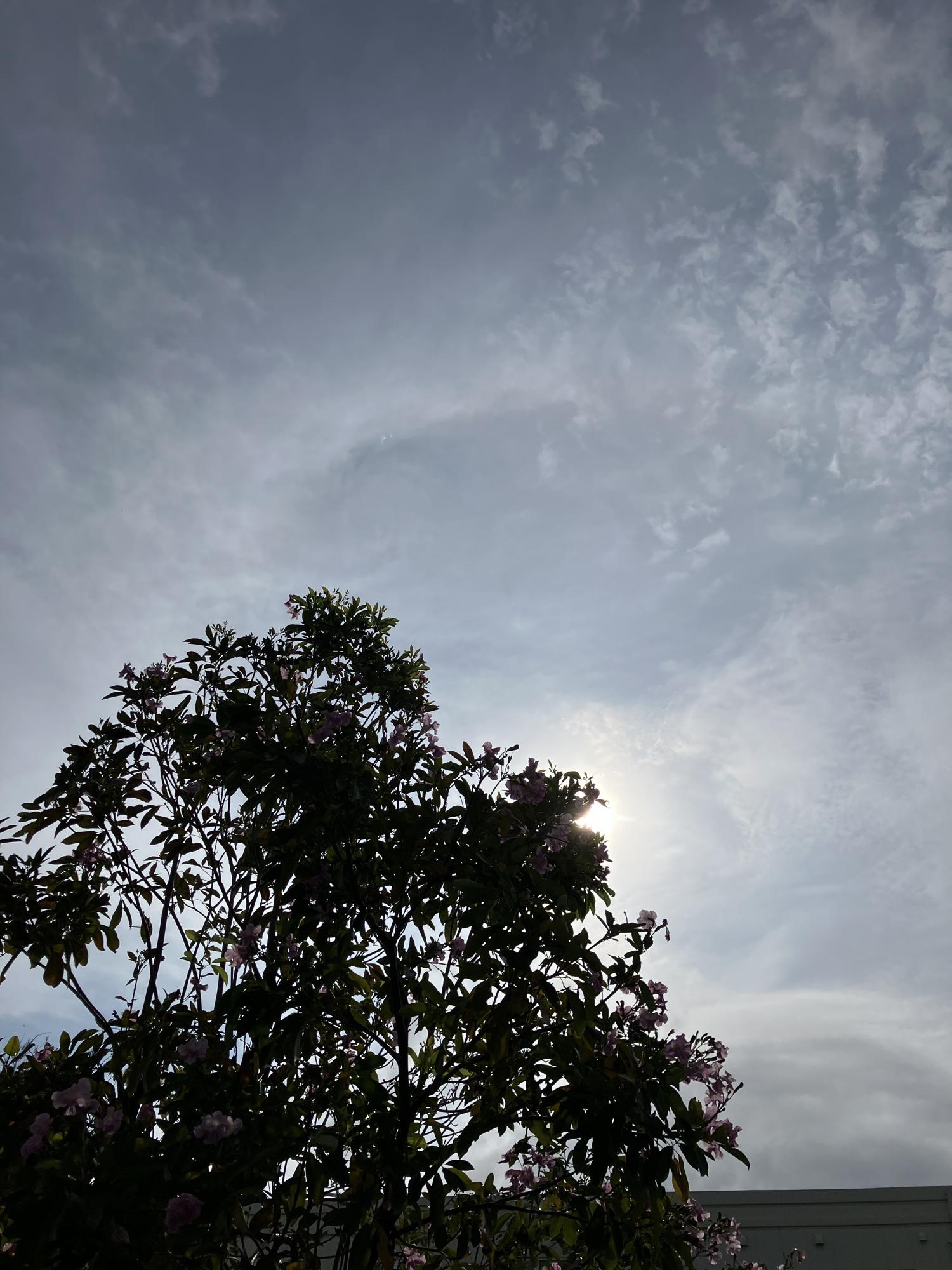 イェスタディの１６時２８分